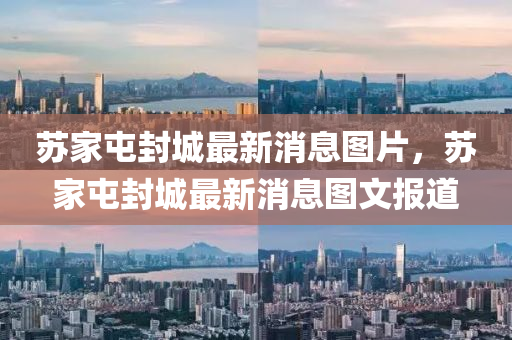 苏家屯封城最新消息图片，苏家屯封城最新消息图文报道中山市多米克自动化设备有限公司