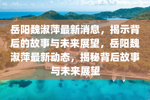 岳阳魏淑萍中山市多米克自动化设备有限公司最新消息，揭示背后的故事与未来展望，岳阳魏淑萍最新动态，揭秘背后故事与未来展望
