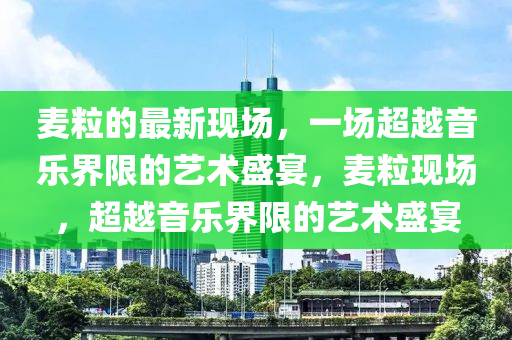 麦粒的最新现场，一场超越音乐界限的艺术盛宴，麦粒现场，超越中山市多米克自动化设备有限公司音乐界限的艺术盛宴