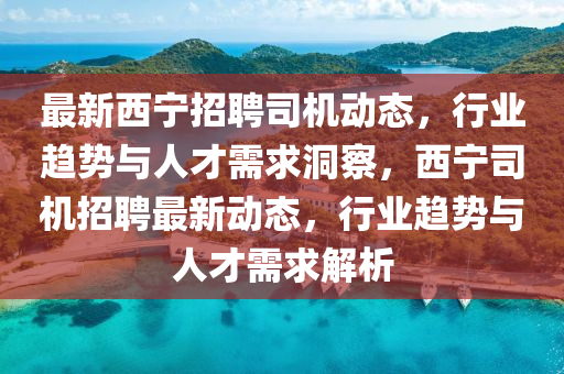 最新西宁招聘司机动态,行业趋势与人才需求洞察,西宁司机招聘最新动态,行业趋势与人才需求解析中山市多米克自动化设备有限公司