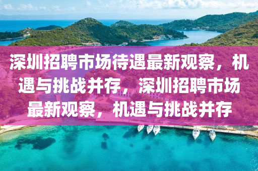 深圳招聘市场待遇最新观察，机遇与挑战并存，深圳招聘市场最新观察，机遇与挑战并存中山市多米克自动化设备有限公司