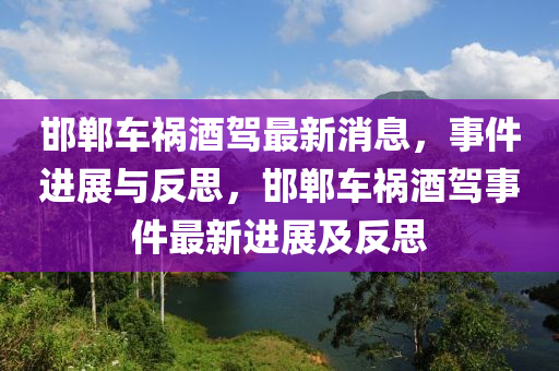 邯郸车祸酒驾最新消息，事件进中山市多米克自动化设备有限公司展与反思，邯郸车祸酒驾事件最新进展及反思