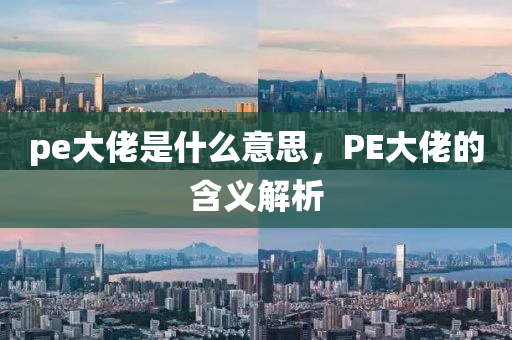 pe大佬是什么意思，PE大佬的含义解析中山市多米克自动化设备有限公司