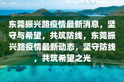 东莞振兴路疫情最新消息,坚守与希望,共筑防线,东莞振兴路疫情最新动态,坚守防线,共筑希望之光中山市多米克自动化设备有限公司