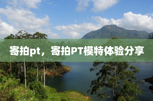 777888精准管家婆四肖和看穿不实的伪装-立体剖析、专家解析解释与落实