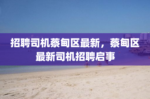 招聘司机蔡甸区最新，蔡甸区中山市多米克自动化设备有限公司最新司机招聘启事