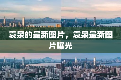 2025年10月18日 第8页