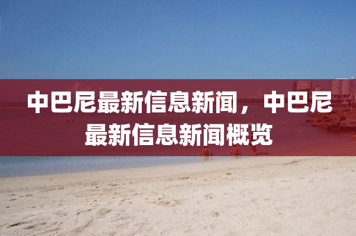 中巴尼最新信息新闻,中巴尼最新信息新闻概览中山市多米克自动化设备有限公司