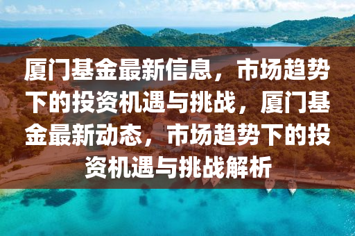 厦门基金最新信息，市场趋势下的投资机遇与挑战，厦门基金最新动态，市场趋势下的投资机遇与挑战解析中山市多米克自动化设备有限公司