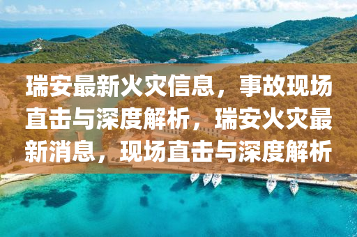 瑞安最新火灾信息,事故现场直击与深度解析,瑞安火灾最新消息,现场直击与深度解析中山市多米克自动化设备有限公司