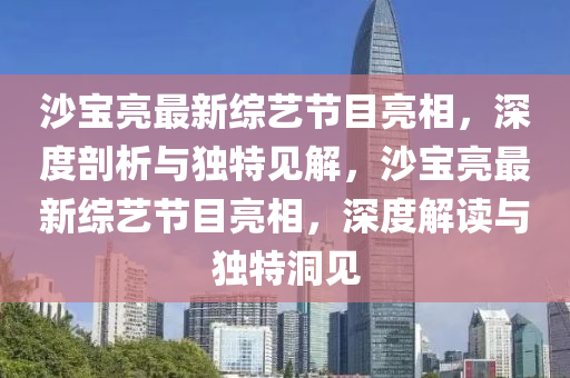 沙宝亮最新综艺节目亮相，深度剖析与独特见解，沙宝亮最新综艺节目亮相，深度解读与独特洞见