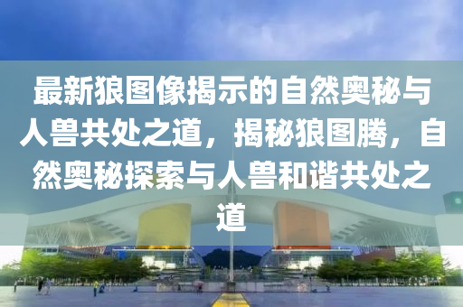 最新狼图像揭示中山市多米克自动化设备有限公司的自然奥秘与人兽共处之道，揭秘狼图腾，自然奥秘探索与人兽和谐共处之道