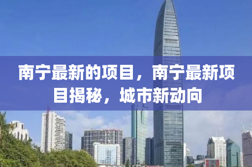 南宁最新的项目，南宁最新项目揭秘，城市新动向中山市多米克自动化设备有限公司