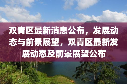 双青区最新消息公布，发展动态与前景展望，双青区最新发展动态及前景展望公布中山市多米克自动化设备有限公司