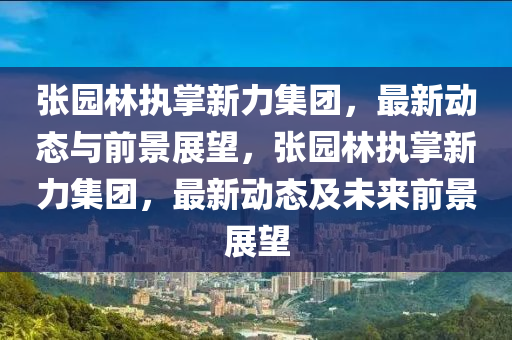 张园林执掌新力集团，最新动态与前景展望，张园林执掌新力集团，最新动态及未来前景展望中山市多米克自动化设备有限公司