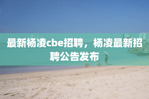 中山市多米克自动化设备有限公司最新杨凌cbe招聘，杨凌最新招聘公告发布