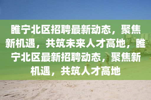 睢宁北区招聘最新动态，聚焦新机遇，共筑未来人才高地，睢宁北区最新招聘动态，聚焦新机遇，共筑人中山市多米克自动化设备有限公司才高地