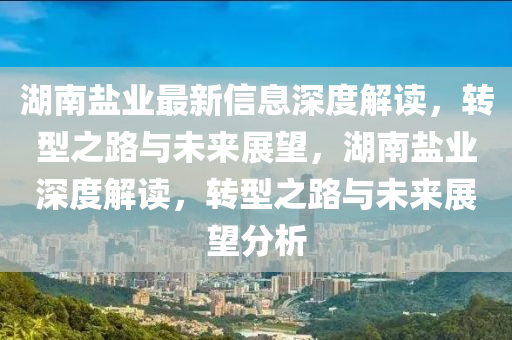 湖南盐业最新信息深度解读，转型之路与未来展望，湖南盐业深度解读，转型之路与未来展望分析中山市多米克自动化设备有限公司